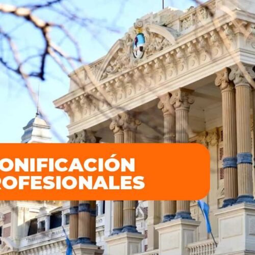 bonificacion profesionales