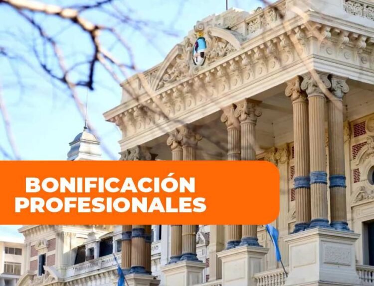 bonificacion profesionales